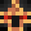 NinjaCam